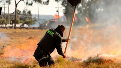 HOMBRE ES SORPRENDIDO PRENDIENDO FUEGO EN PLENO BOSQUE EN EL DEPARTAMENTO DE SOACHA