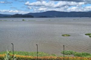 Grave crisis ambiental en Fúquene: Escasez de agua desata calamidad pública