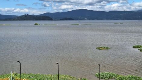 Grave crisis ambiental en Fúquene: Escasez de agua desata calamidad pública